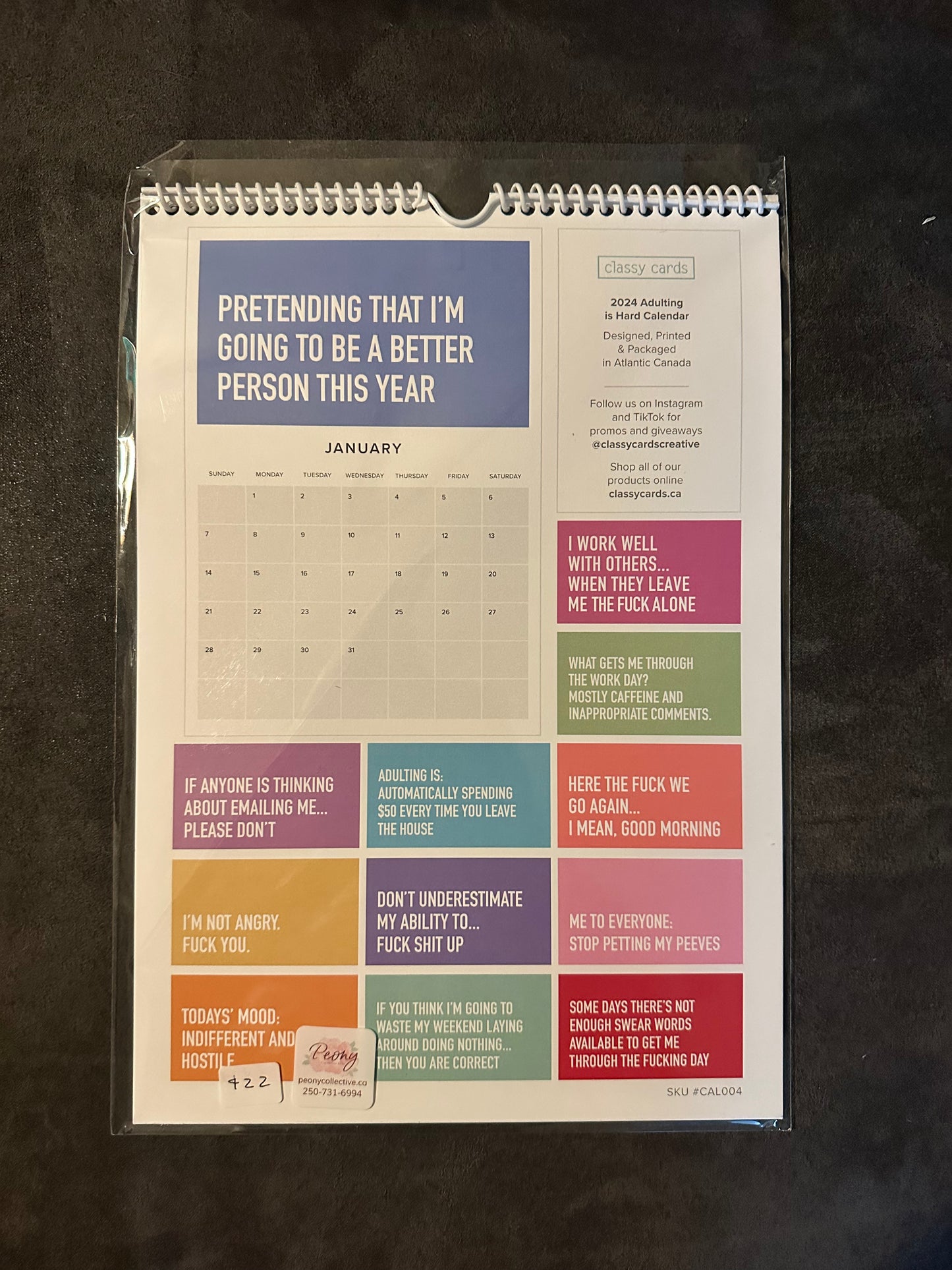 2024 Adulting Calendar