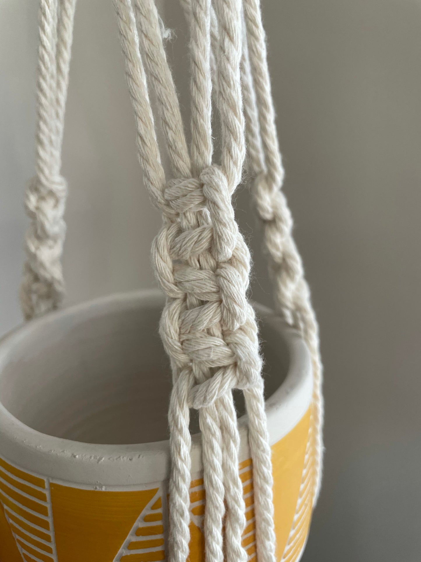 Spiral Macrame Plant Hanger