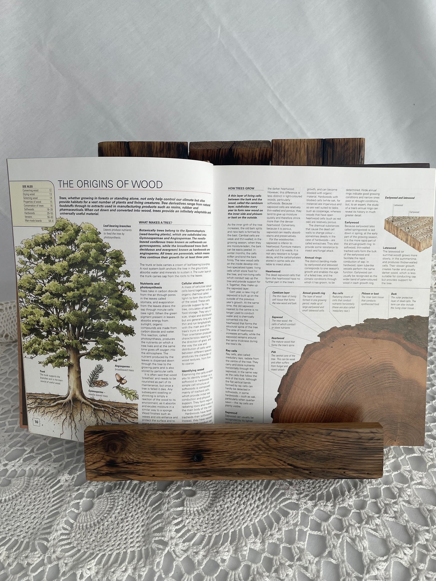 Book Stand / Display Stand