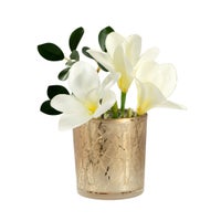 Branch Silhouette Etched Gold Mirror 3 x 3" Hurricane Vase