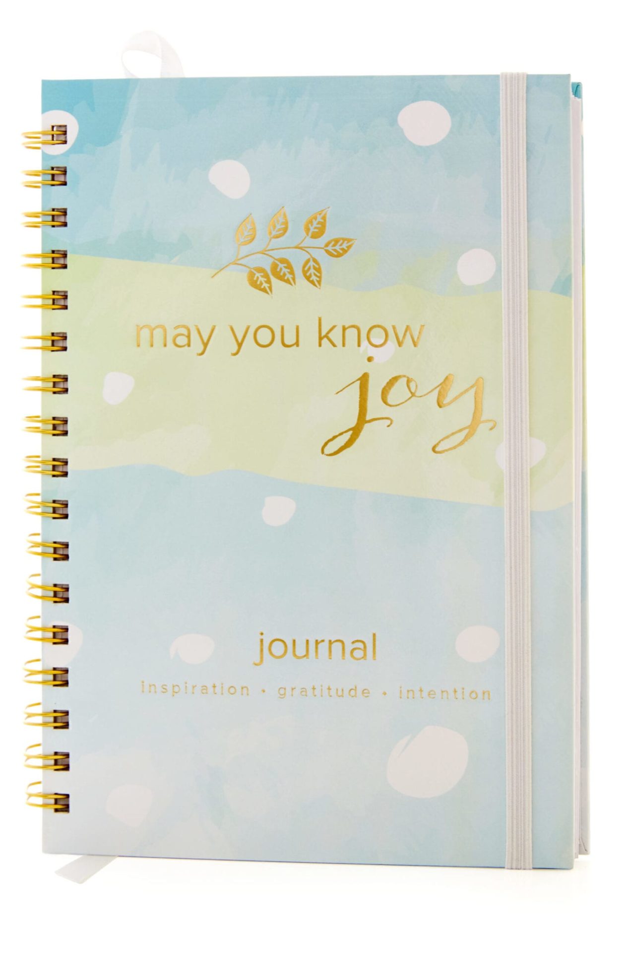 May You Know Joy Journal