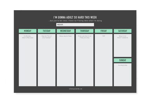 Adulting Weekly Planner