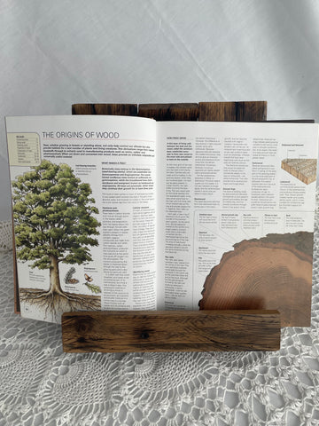 Book Stand / Display Stand