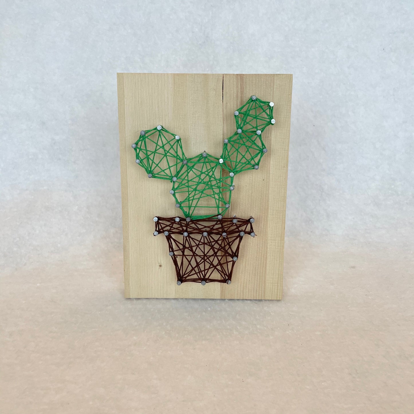 String Art Kit - Cactus